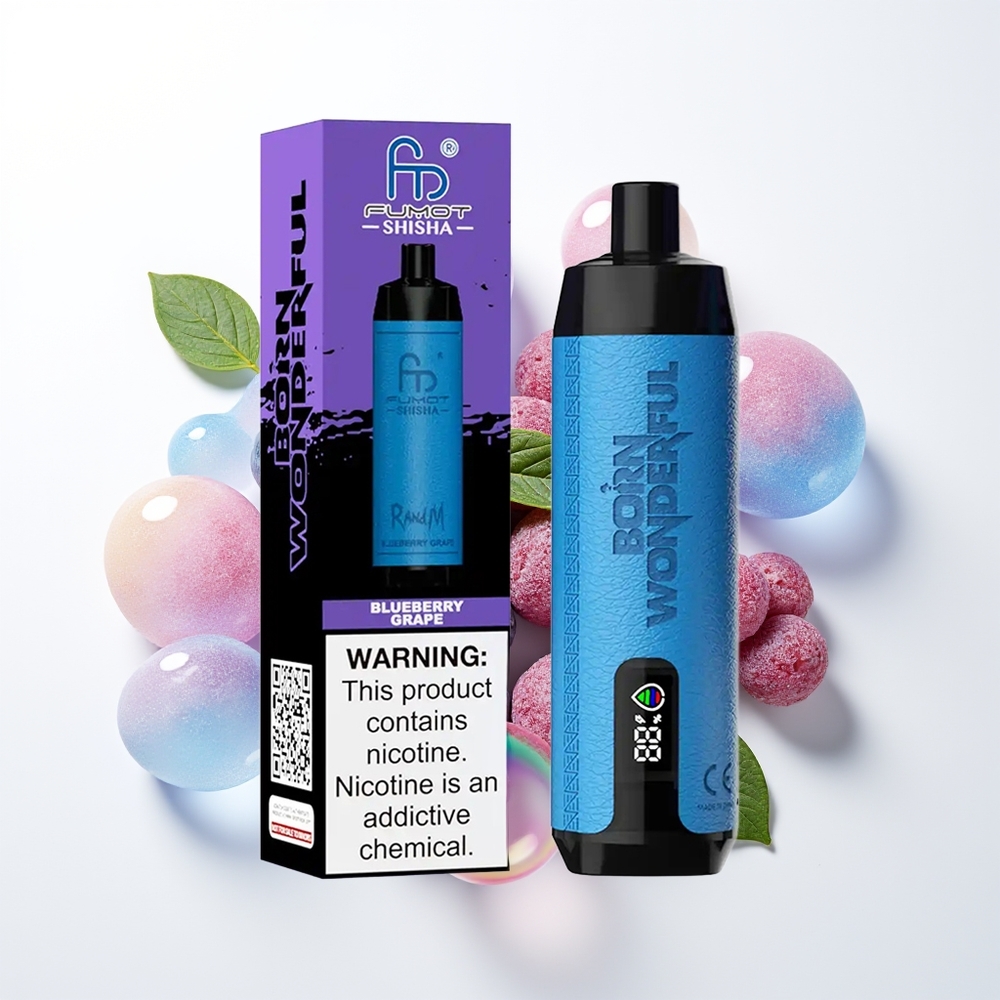 RandM Fumot Shisha 10000 Blueberry Grape Type-C Mesh
