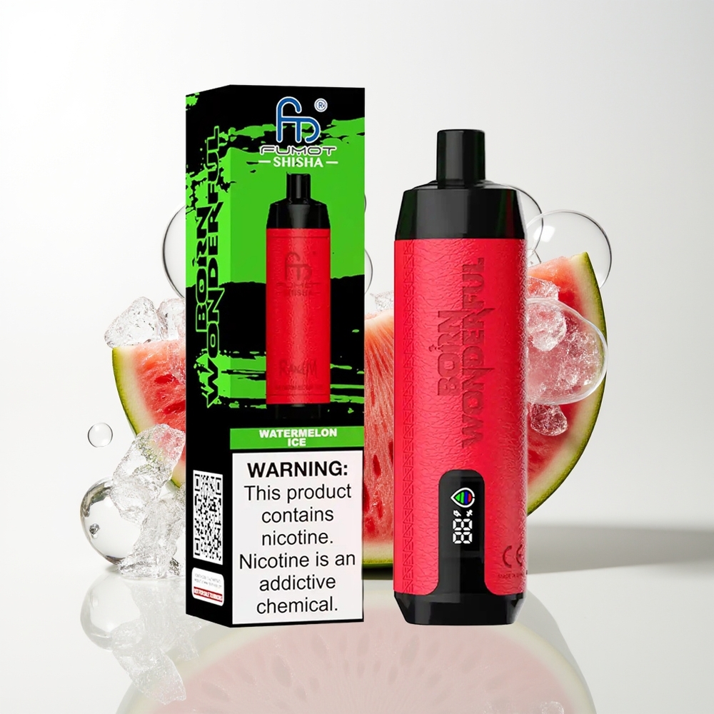 RandM Fumot Shisha 10000 Watermelon Ice Mesh